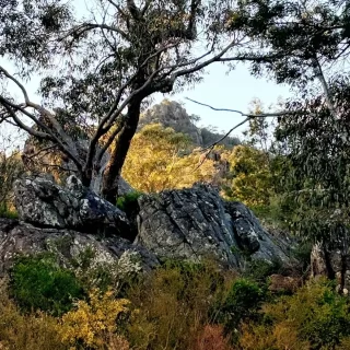 Halls Gap