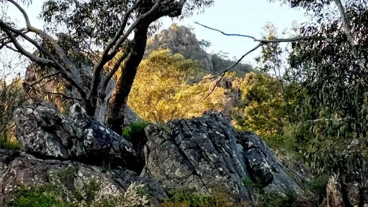 Halls Gap