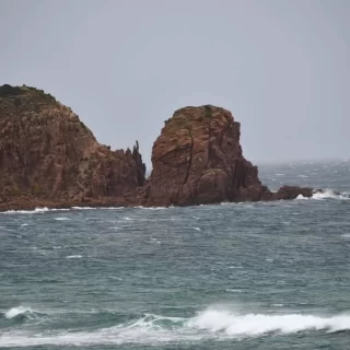 Phillip Island's Beauty