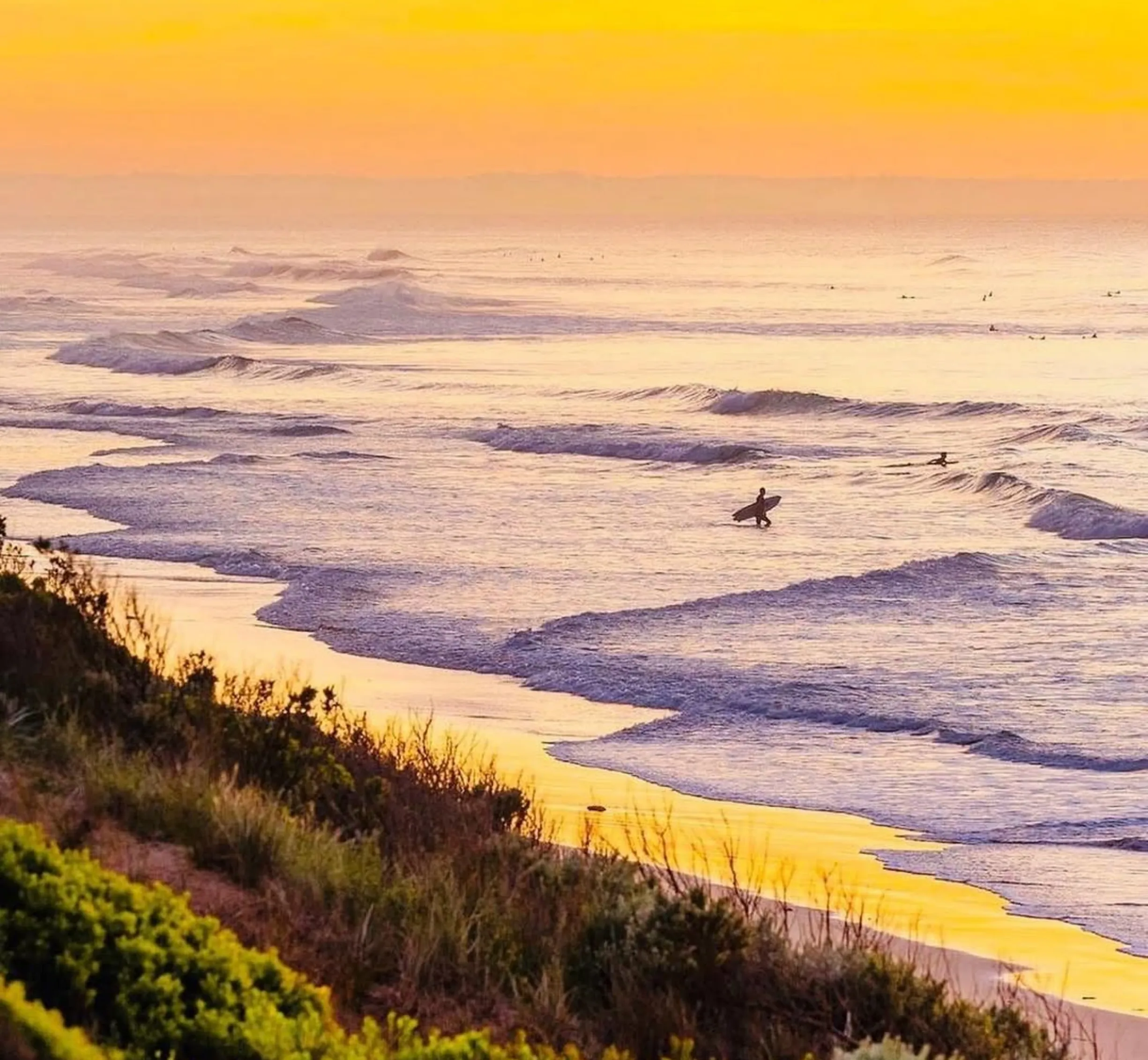 experienced surfers