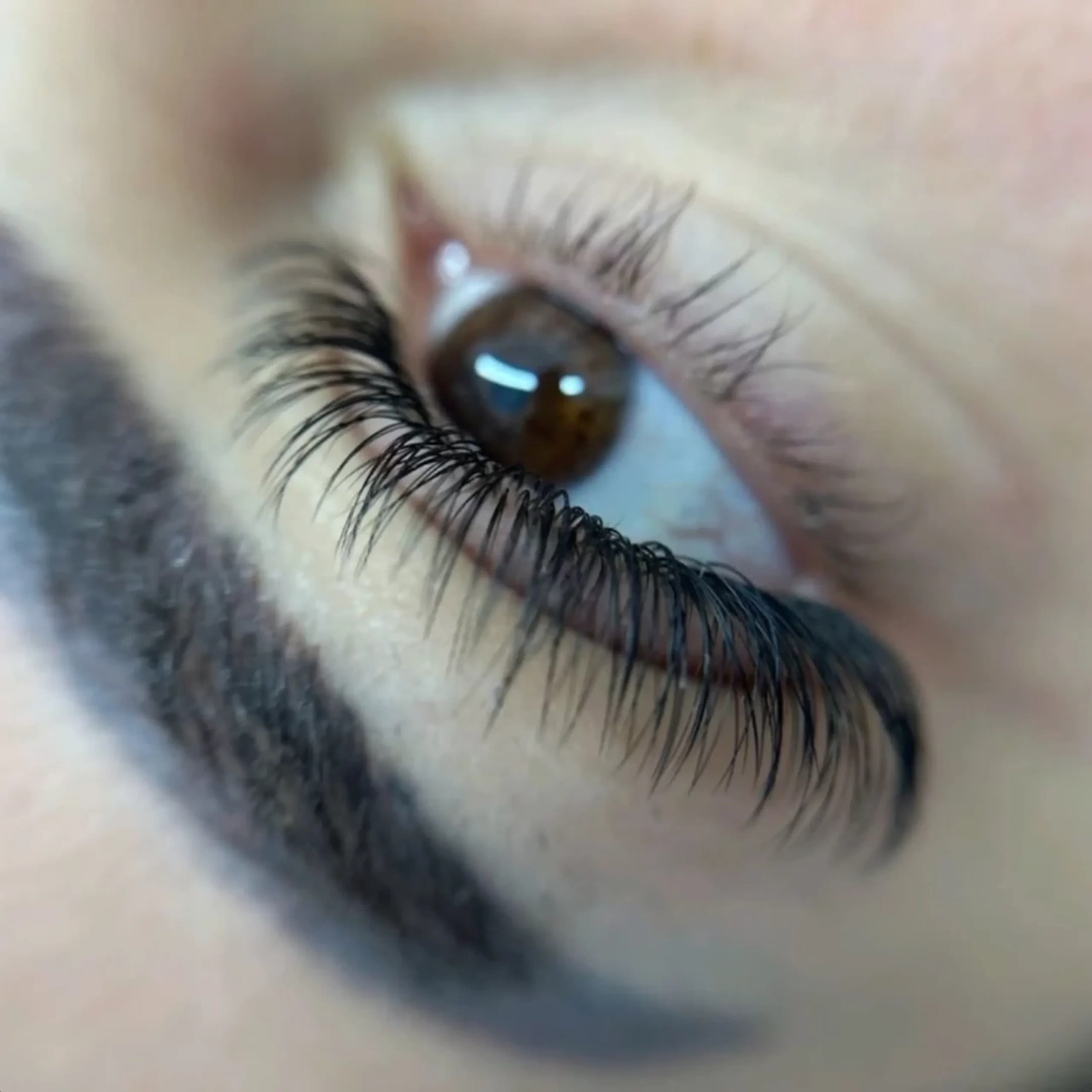 colour theory eyebrow course
