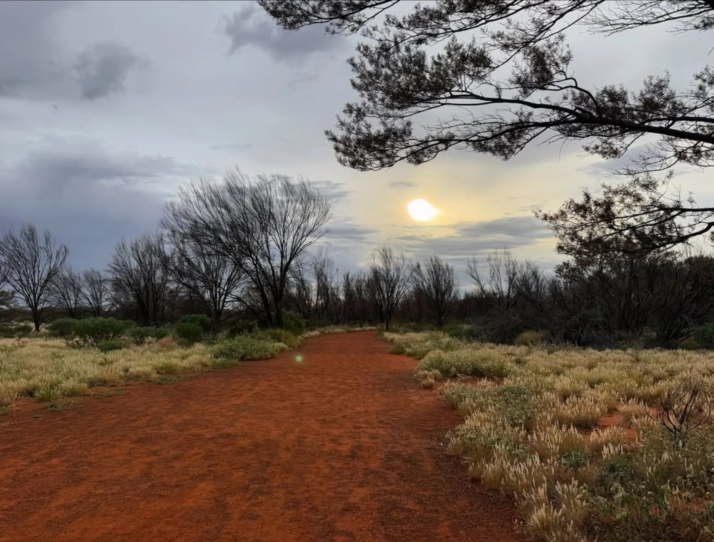 Uluru cultural centre tours